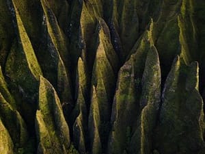 natura