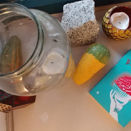 Recenzja książki Dietoland