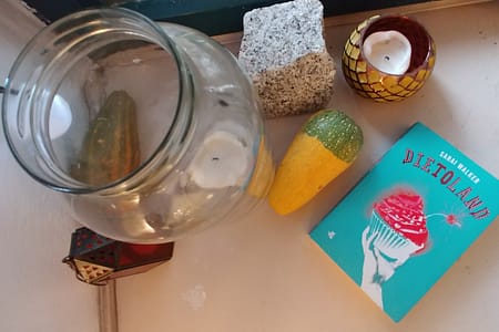 Recenzja książki Dietoland